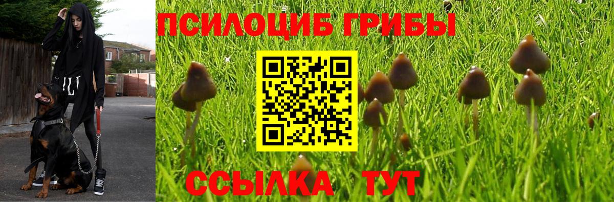 Галлюциногенные грибы Magic Shrooms Елизово
