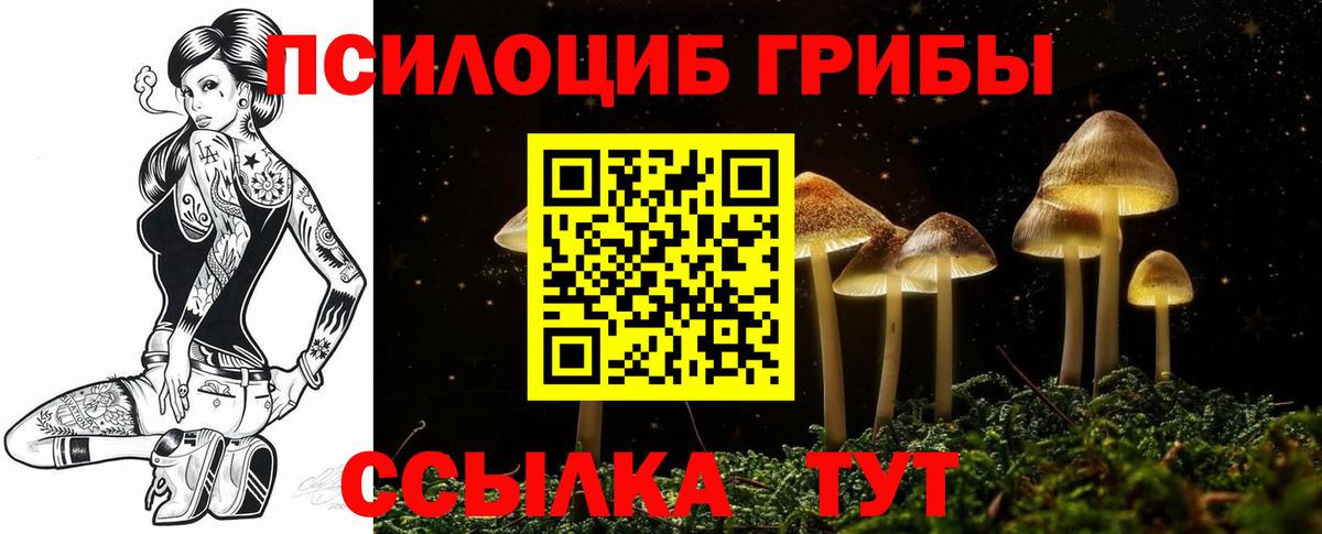 Галлюциногенные грибы прущие грибы  Вход с VPN  Елизово 